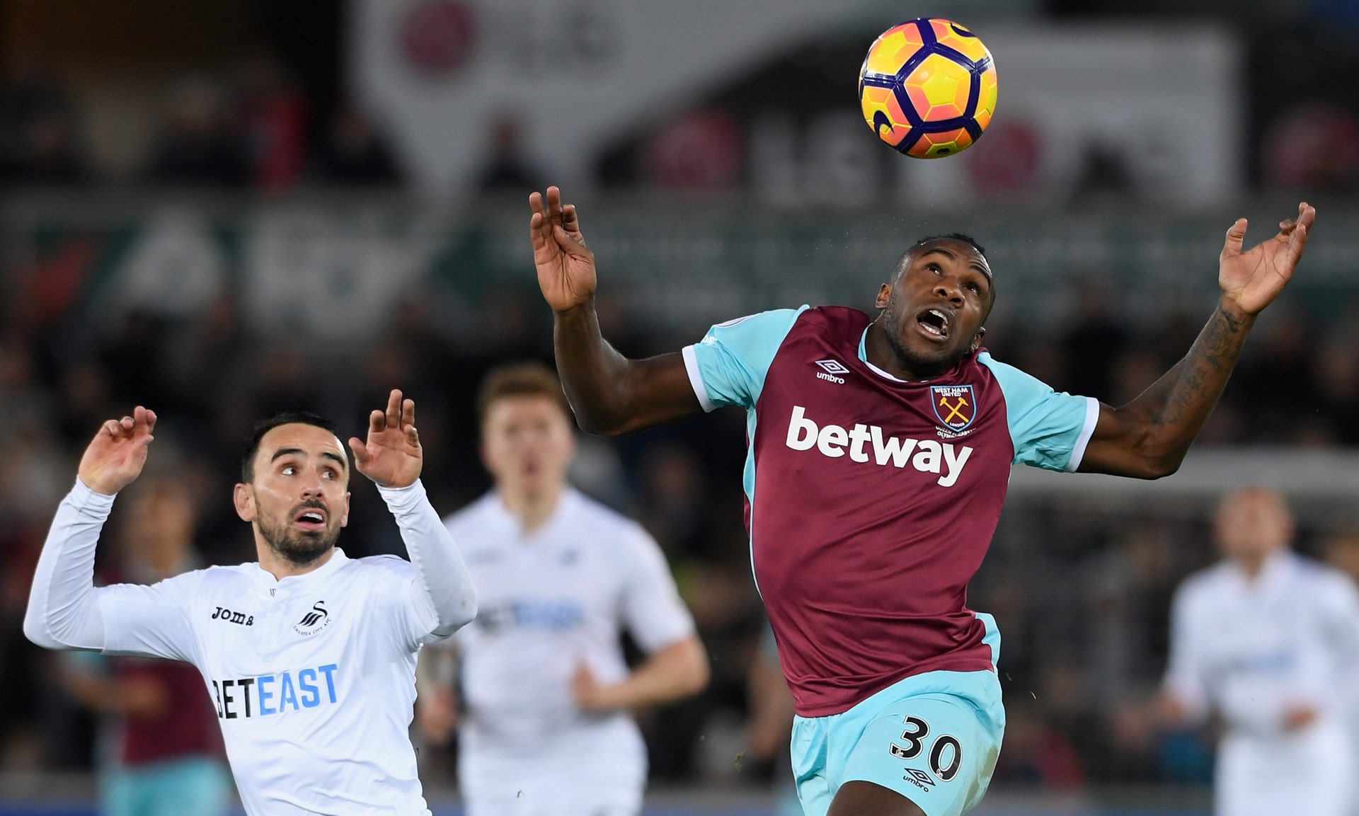 引了众多关 引了众多关